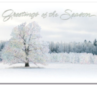 Serene Winter Greetings
