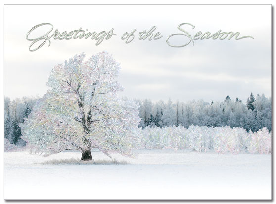 Serene Winter Greetings