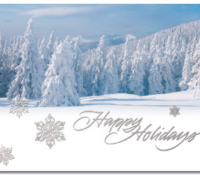 Snowy Holidays Card | Cardplant