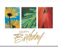 Nature Scenes Card