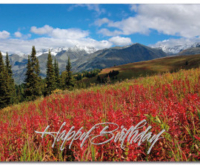 Scenic Birthday Card