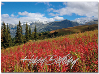 Scenic Birthday