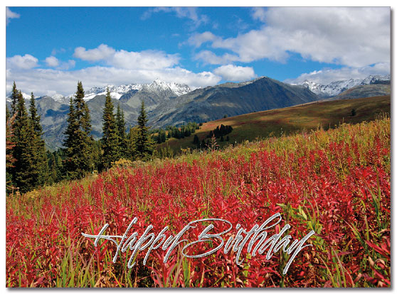 Scenic Birthday Card | Cardplant