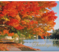 Autumn Trails Card