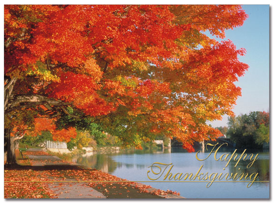 Autumn Trails Card