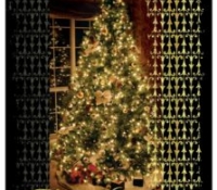 Decorated-Tree Holiday Card