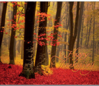 Colorful Autumn