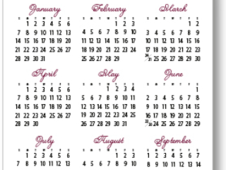 Tulips Mini Calendar