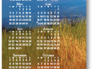 Scenic Mini Calendar